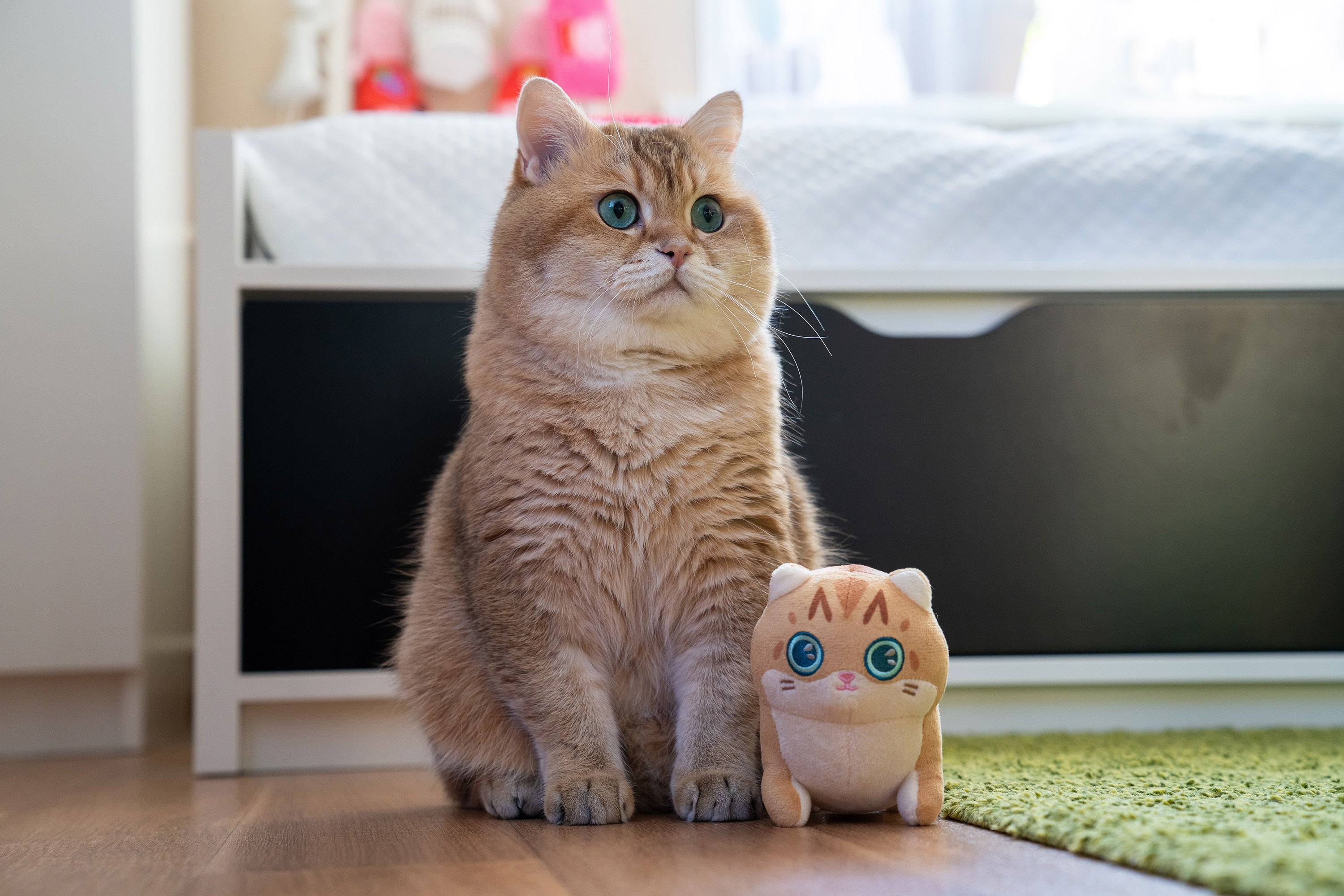 Hosico Cat Mini Plush