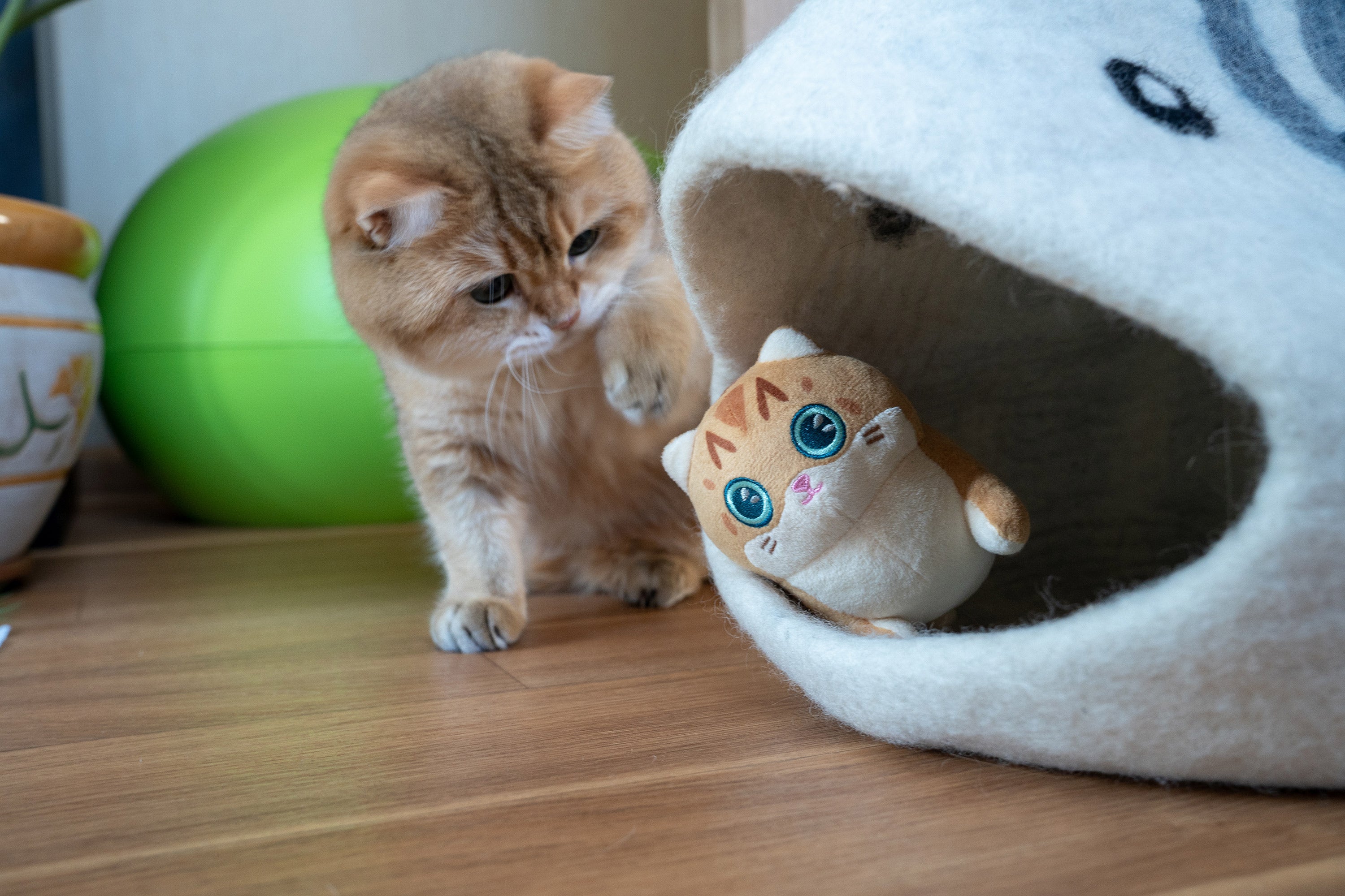 Hosico Cat Mini Plush