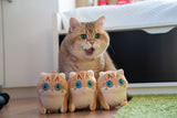 Load image into Gallery viewer, Hosico Cat Mini Plush
