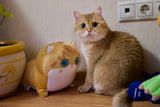 Load image into Gallery viewer, Hosico Cat Cuddle Plush